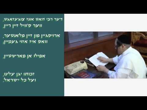 ר' יואל ראטה - טאנץ מיט אמונה#2 - ניגון רבי - R' Yoel Roth