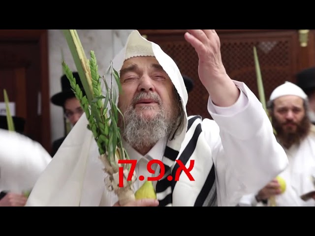 הושענא רבה בחצר הקודש של צדיק הדור ר' יעקב מאיר שכטר שליט"א