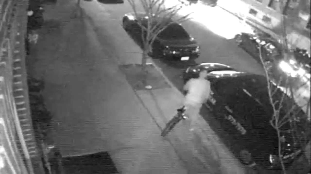 Theft of electronic devices from multiple cars in Boro Park