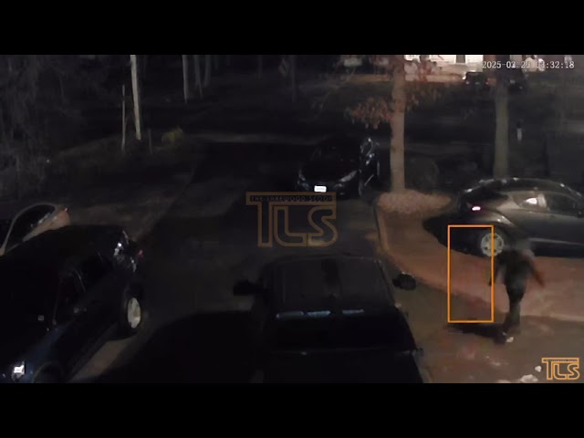 Burglar flees after light turns on