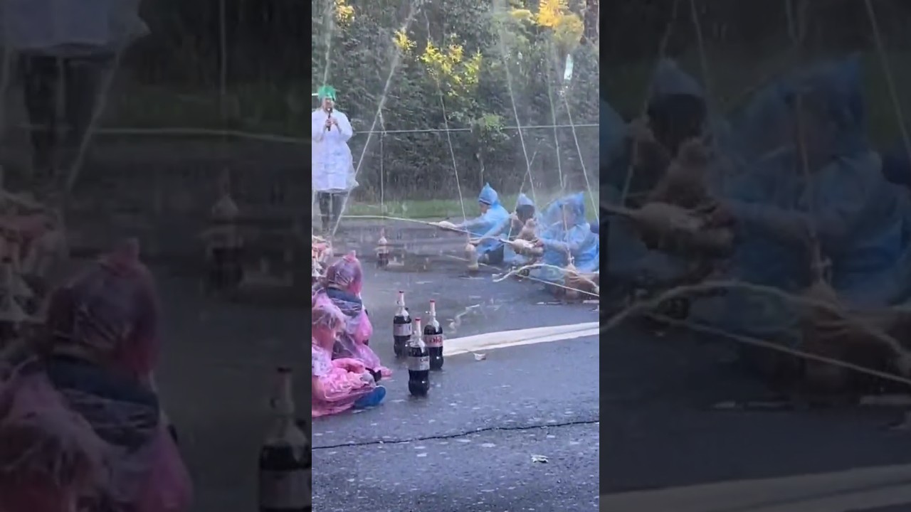 Soda and Mentos explosion 💥 #scienceexperiment #sciencefun #comedy #crazy #birthday #summer