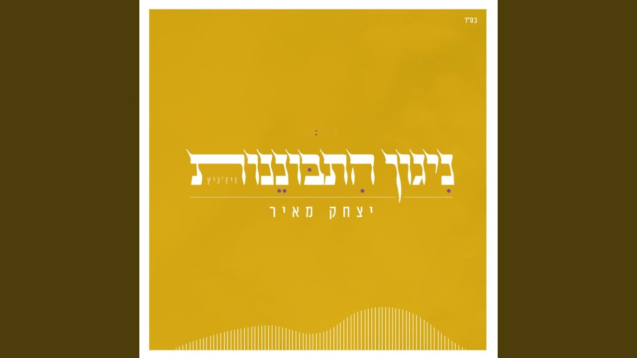 ניגון התבוננות