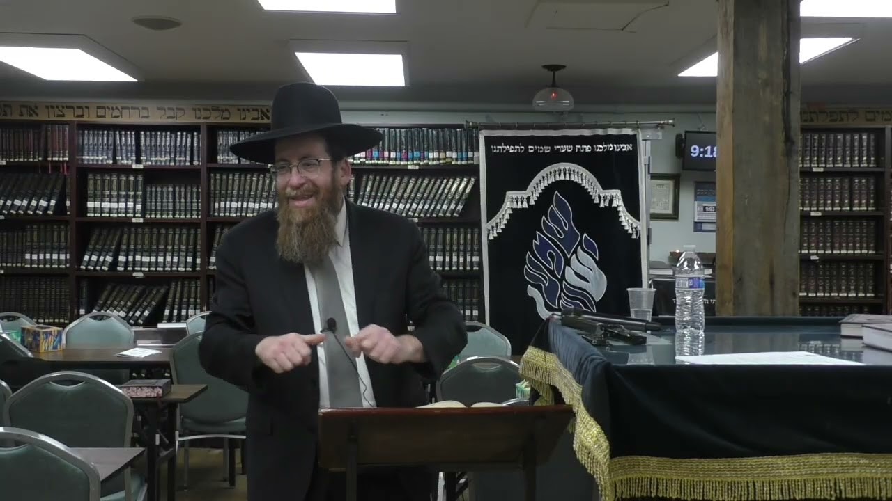 Rabbi Yosef Greenwald - Hilchos Tzedakah and Maaser – Dinim, Minhagim and Meaning at Scheiner's