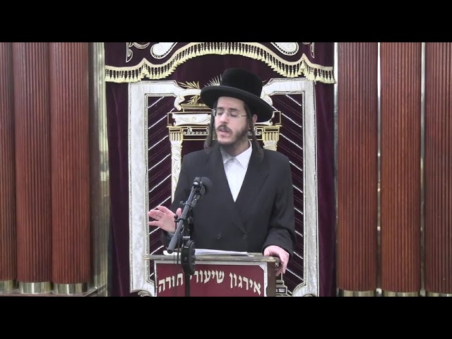 אחיזת עינים בהלכה  - ר' שלום דוד פאלגער שליט"א (magic shows)