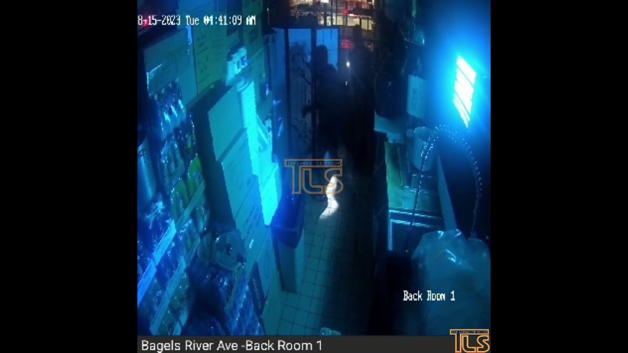 Burglary in Lakewood caught on video
