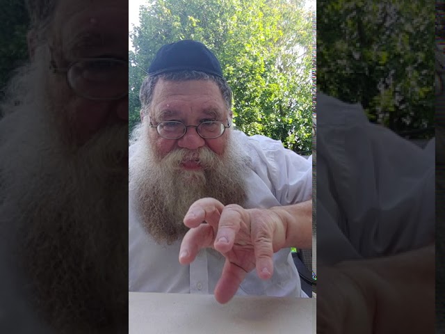 Chabad and Vishnitz - Rebbe Helps Reb Yisrael Hager