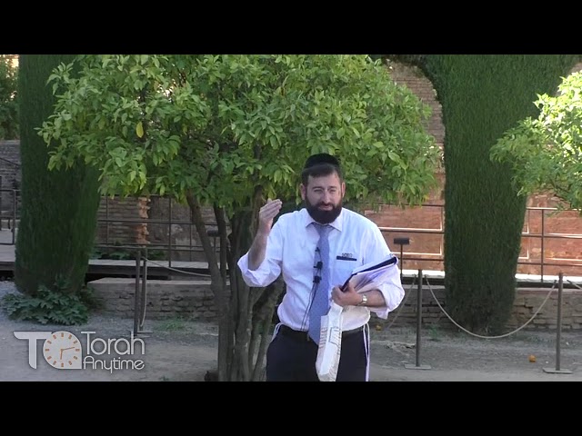 Journey to Spain 2023: Granada - Shmuel Hanagid at the Alhambra, his Palace