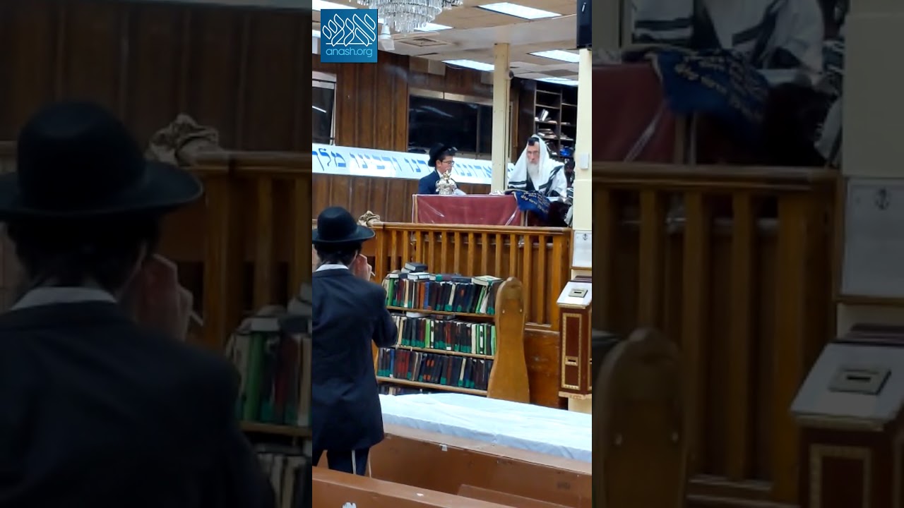 Rabbi Goldstein Bentches Gomel in 770