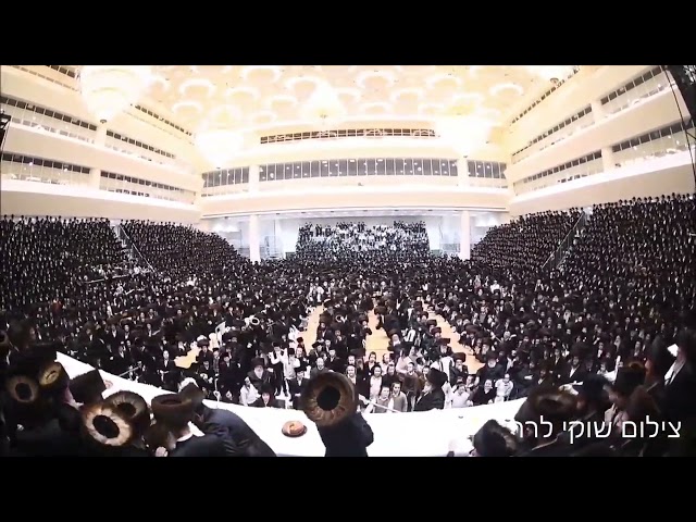 המשפיע הגה"צ רבי אלימלך בידרמן משמח בשמחת בית ויז'ניץ - נדבורנה חיפה