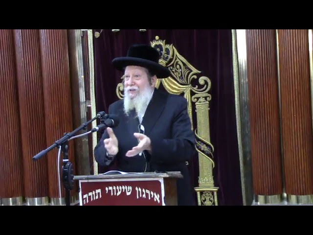 הכנה לסוכות -  ר’ משולם פייש גינזבורג שליט”א אדמו"ר מחוסט