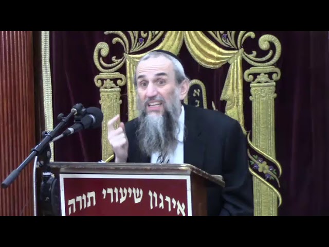 Auto Collisions In Halacha - Rabbi Yakov Zev Smith