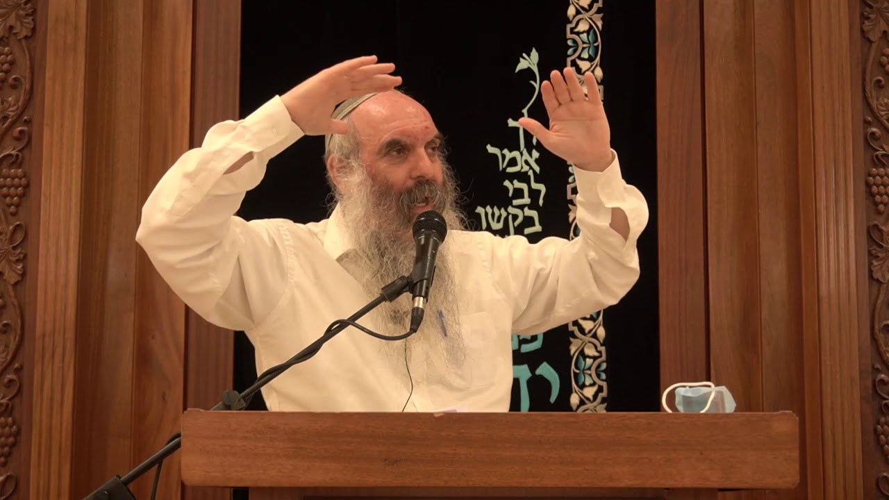 מנע רגלך מנתיבתם | בירור דעת הנצי"ב מוולוז'ין בעניין הרפורמים | הרב יהושע שפירא