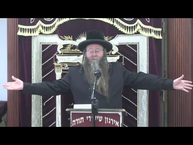 קריאת מודעות ופרסומת בשבת - ר' שלמה לייזער שליט"א