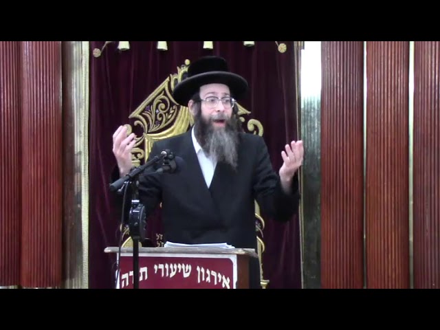 שאלות נחוצות בהלכות שעטנז - ר' צבי אונסדארפער שליט"א