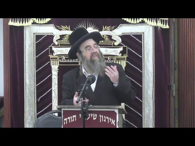 דיני ומנהגי חודש אדר  - ר׳ אברהם שרייבער שליט״א