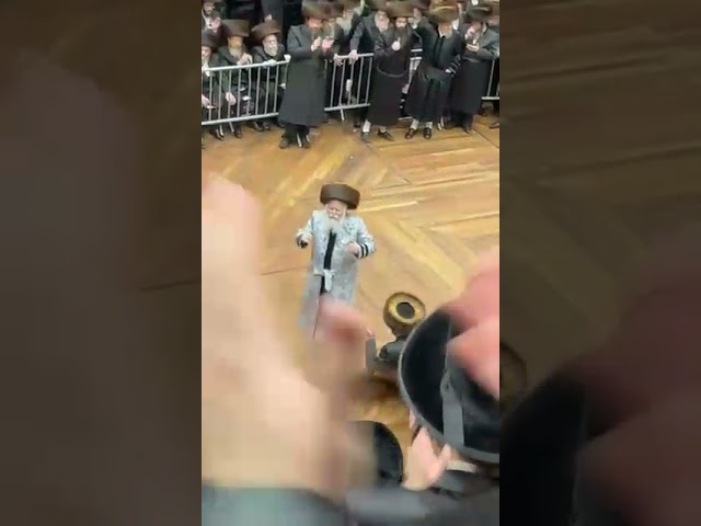 ערשטע בילדער משמחת החתונה פון נכד כ"ק אדמו"ר מבאבוב שליט"א