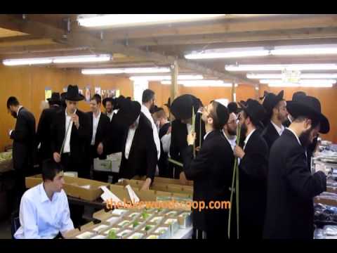 Arba Minim Shuk At BMG Sukkos 2010