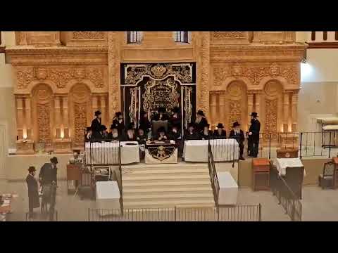 מסיבת חנוכה לתלמידי ת"ת ויז'ניץ