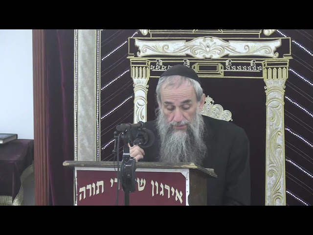 Chinuch Questions And Answers - Rabbi Zev Smith