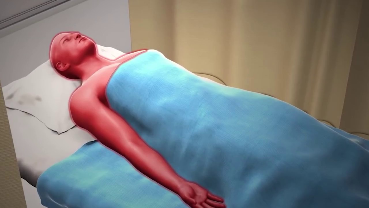 הוכחות בתורה על ידיעת חזל בחכמת הרפואה מדהים (פרק ה) הרב אפרים כחלון