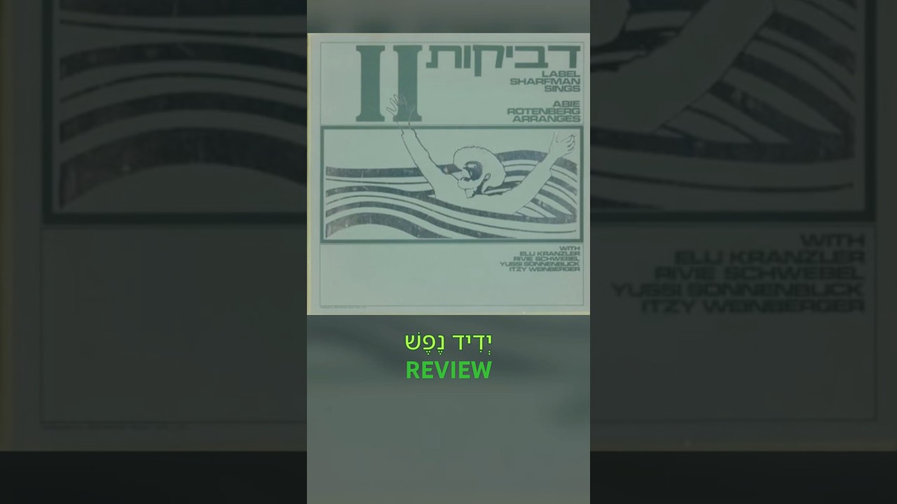 Y'did Nefesh (D'veykus) REVIEW #jewishmusic #musicreview #jewishculture #roten #simple #guitar