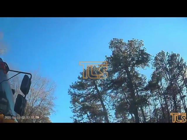 Dashcam captures school bus accident
