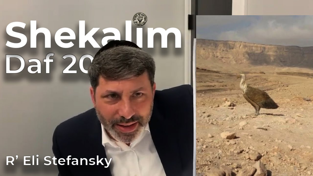 Daf Yomi Shekalim Daf 20 by R’ Eli Stefansky
