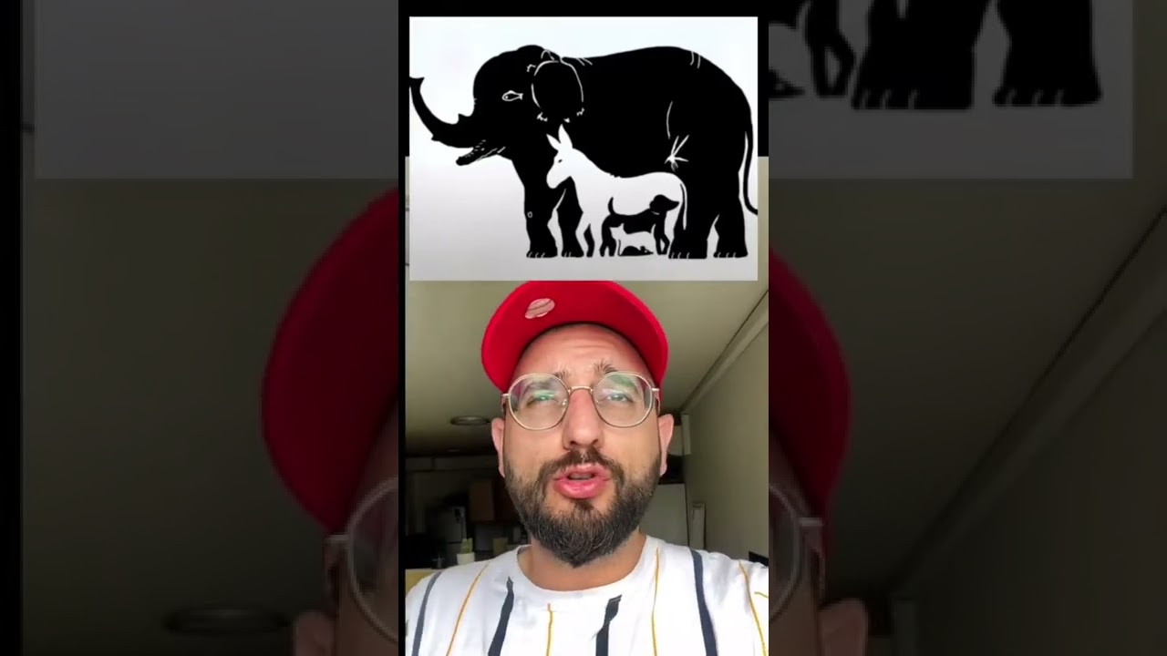 מבחן אייקיו מהיר