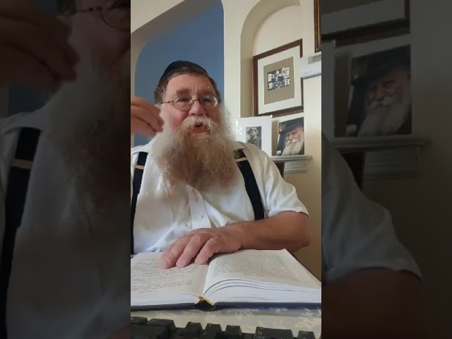 Practical Chasidus w Rabbi Chaim Dalfin - Maamar Choviv 1940 #4