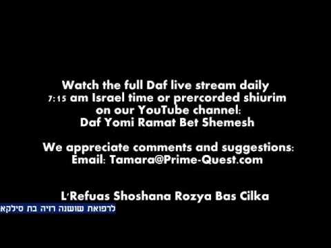 8 Min Daf - Chullin Daf 102  by R’ Eli Stefansky