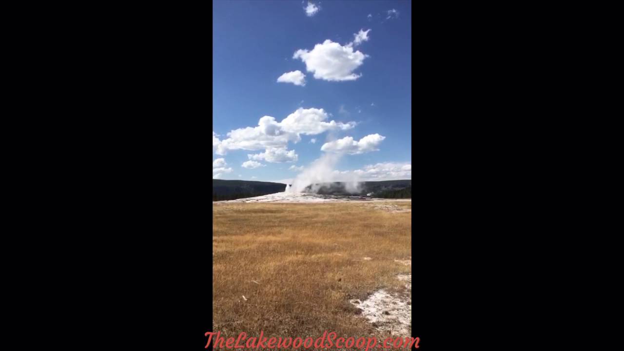 Geyser in Yellowstone National Park