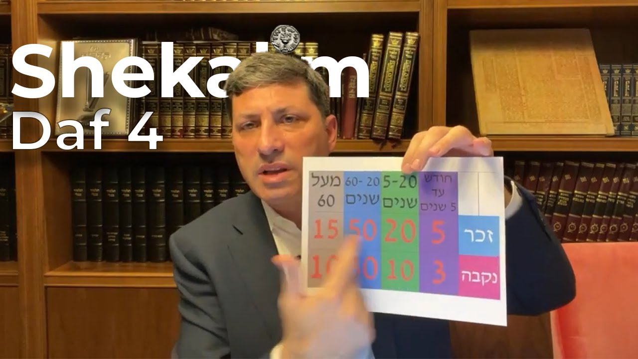 Daf Yomi Shekalim Daf 04 by R’ Eli Stefansky