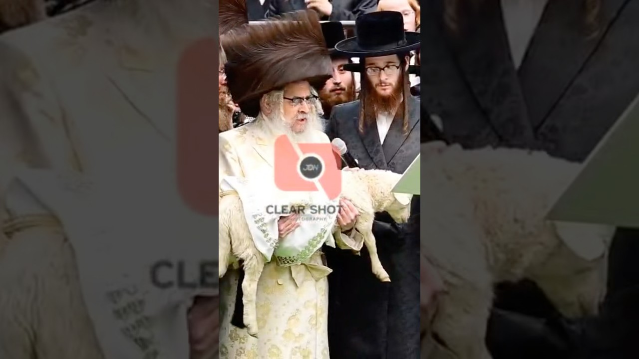 Pidyon Peter Chamor By Satmar Rebbe R’ Aaron - Chol Hamoed Pesach 2025 | פדיון פטר חמור בחצה”ק סאטמר