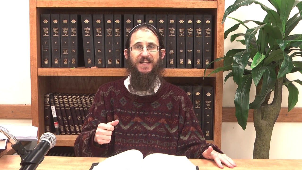 מוסקט # פרשת שמות