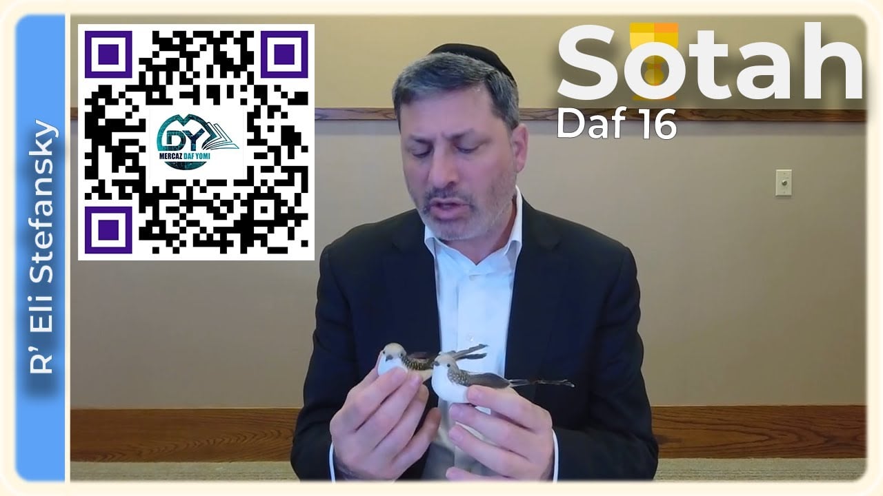 Daf Yomi Sotah Daf 16 by R’ Eli Stefansky