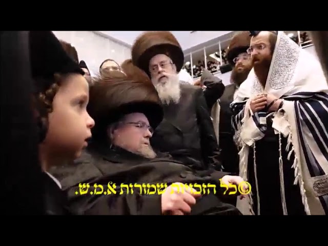 שמחת הברית לנין האדמו"ר מבעלזא - י' אב תשפ"ד