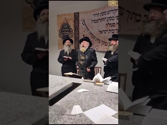 אדמו''ר מרחמסטריפקא שליט''א באמירות השם השם בפולין