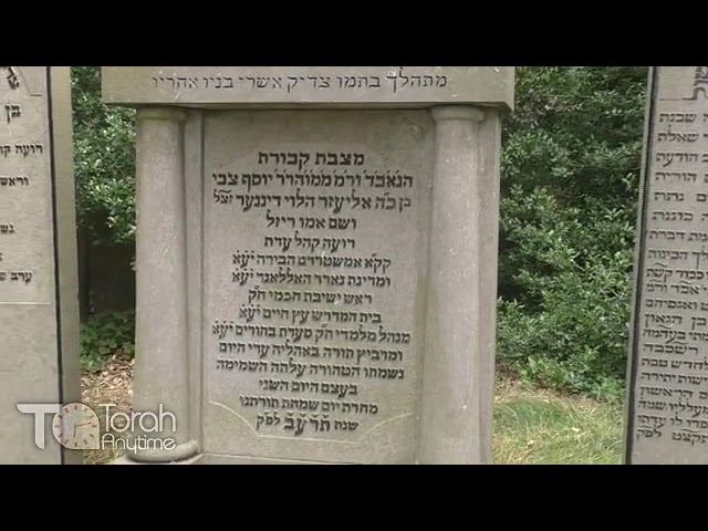 Journey to Amsterdam: The Kever of Rav Shmuel Falk, Great grandson of the Pnei Yehoshua