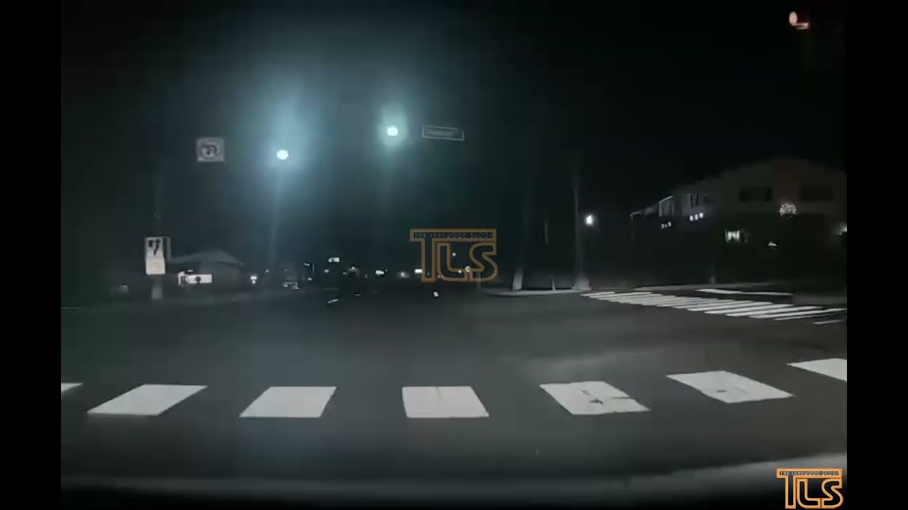 Dashcam video driver strikes deer