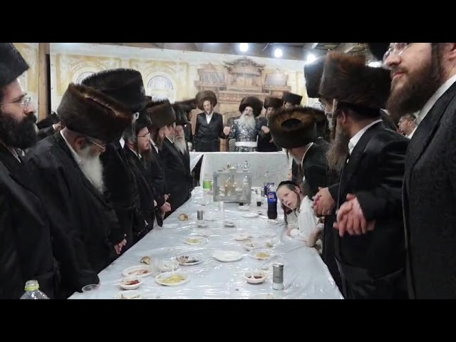Simchas Beis Hashoeiva 5786 With Nadvorna Elad Rebbe