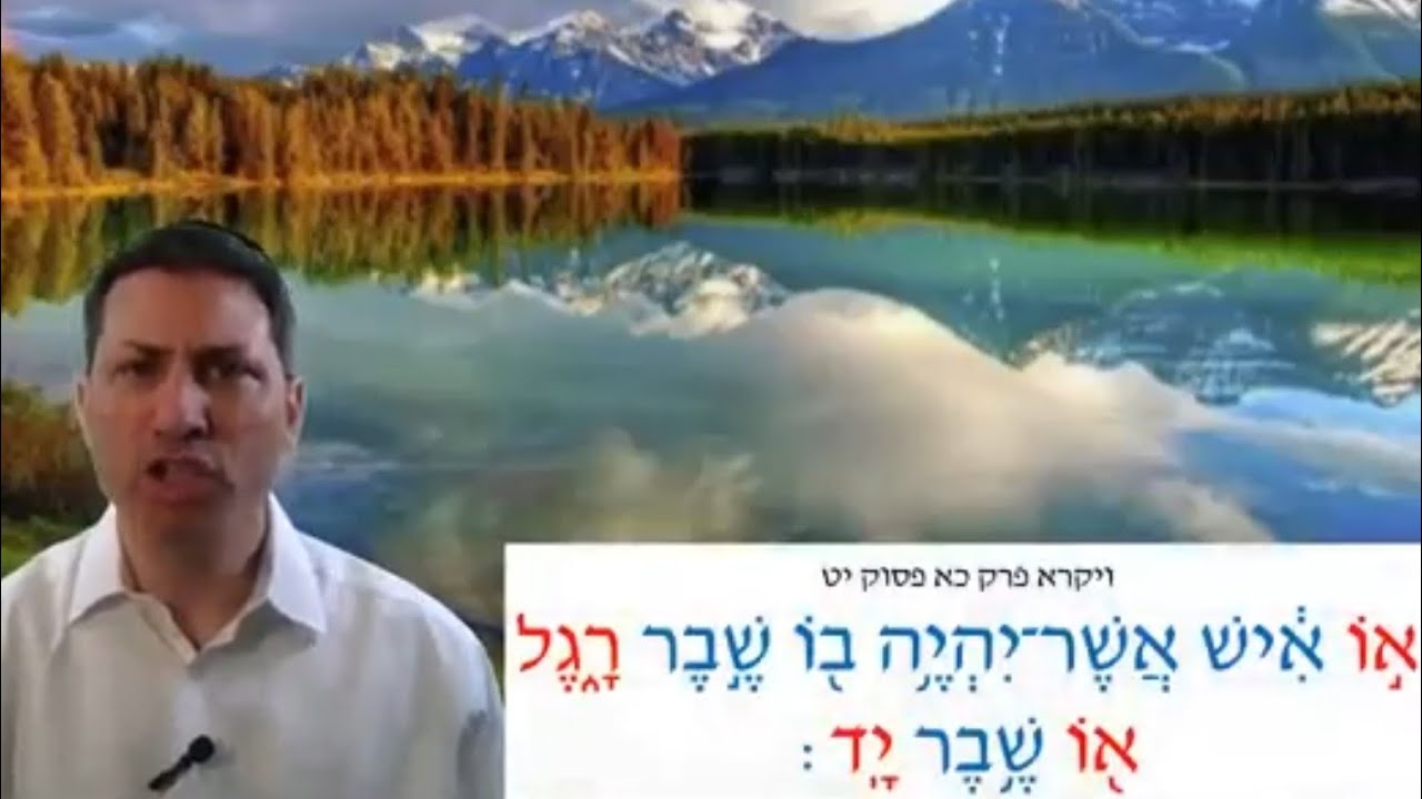 8 Min Daf - Bechoros Daf 45 by R’ Eli Stefansky