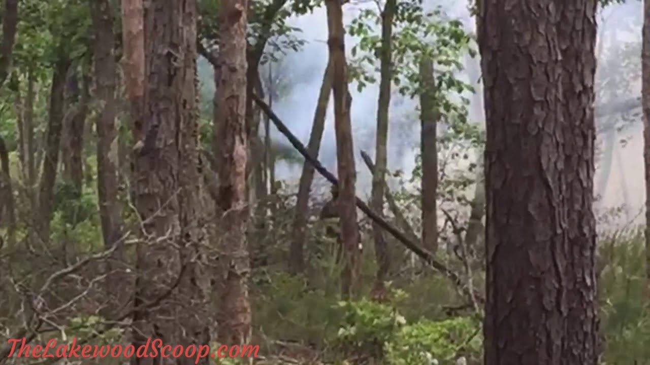 Brush Fire Chestnut Lakewood
