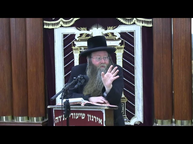 דיני צידה בשבת - ר' שלמה לייזער שליט"א