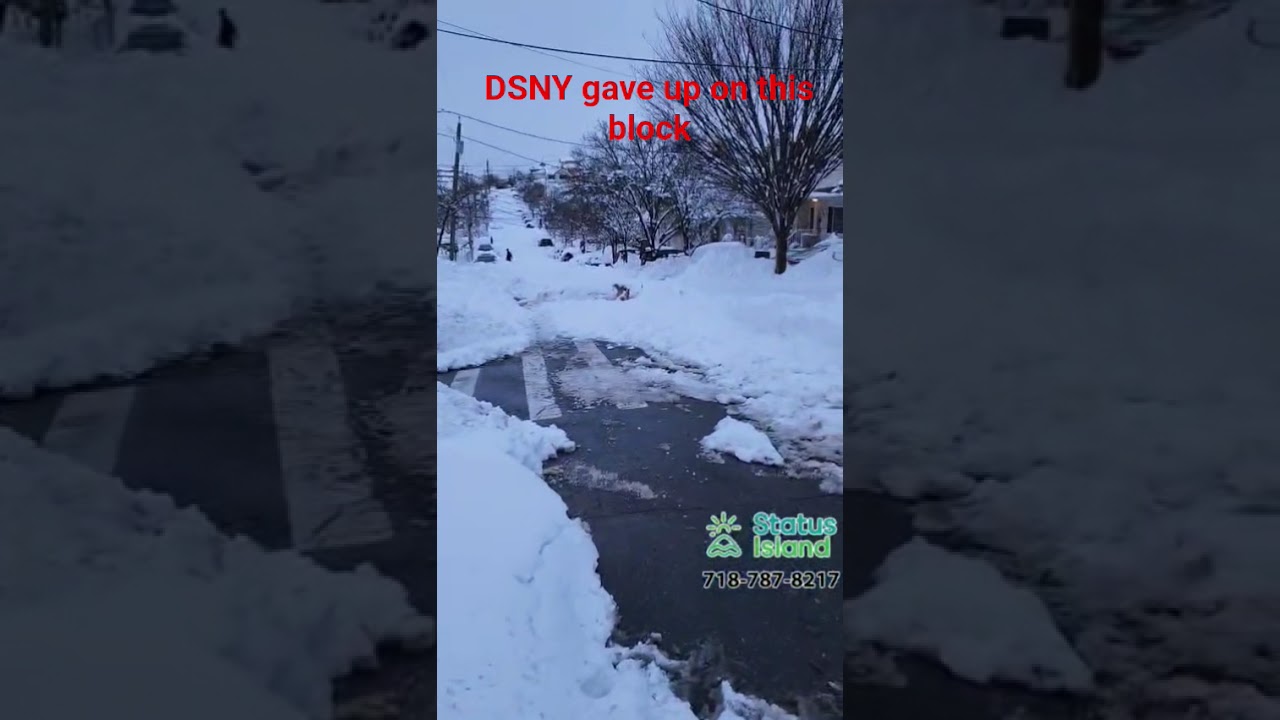 DSNY gave up on this block