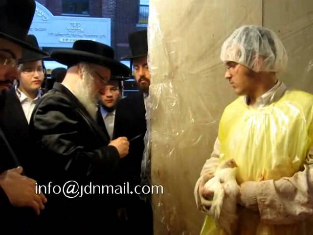 Vien Rebbe Doing Kaporos Erev Yom Kippur 5773