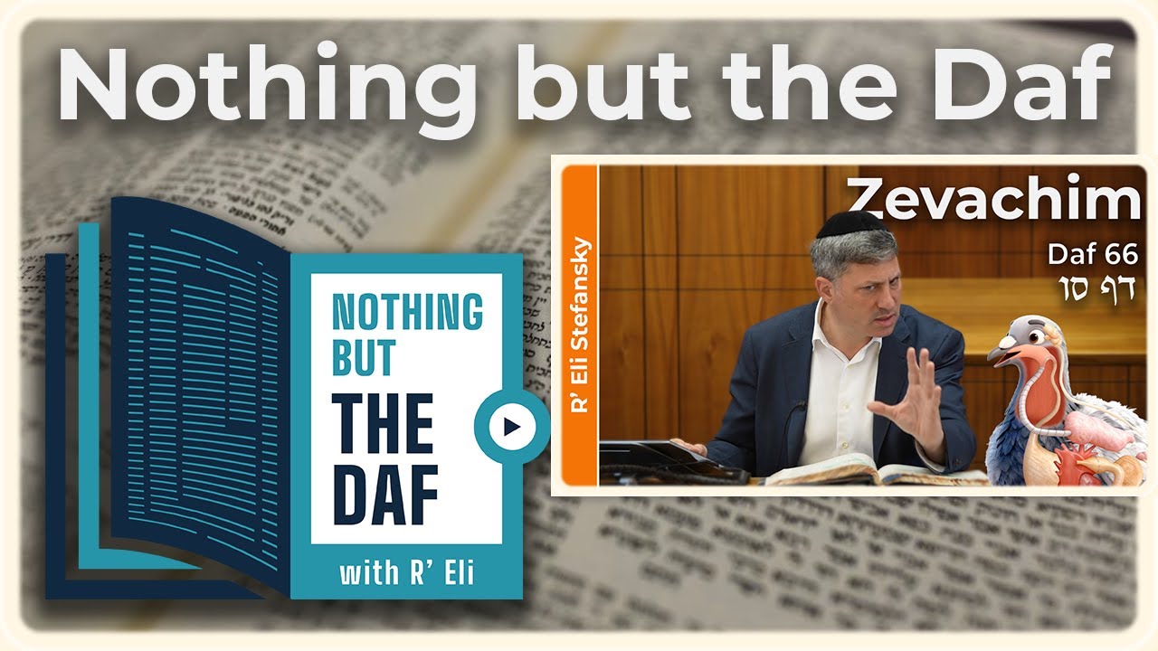 CHAZARAH - Zevachim Daf 66 | "Nothing but the Daf" with R' Eli Stefansky