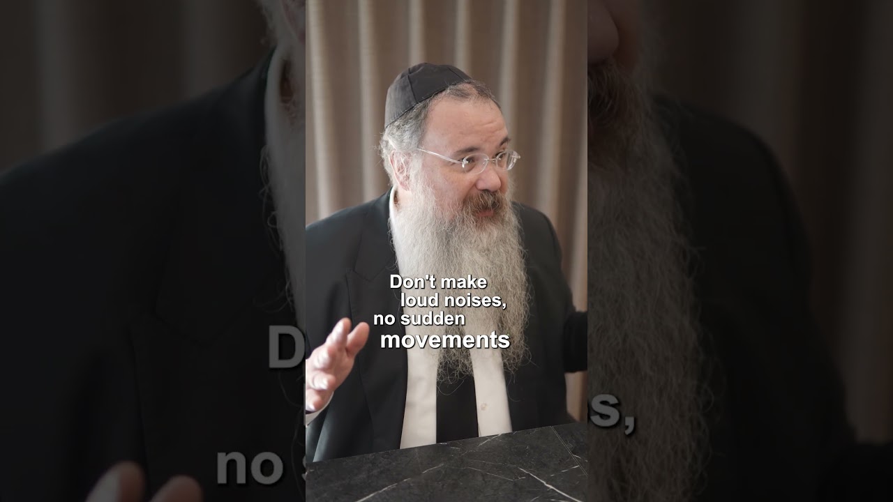 What Stray Cats Taught Me About Kindness