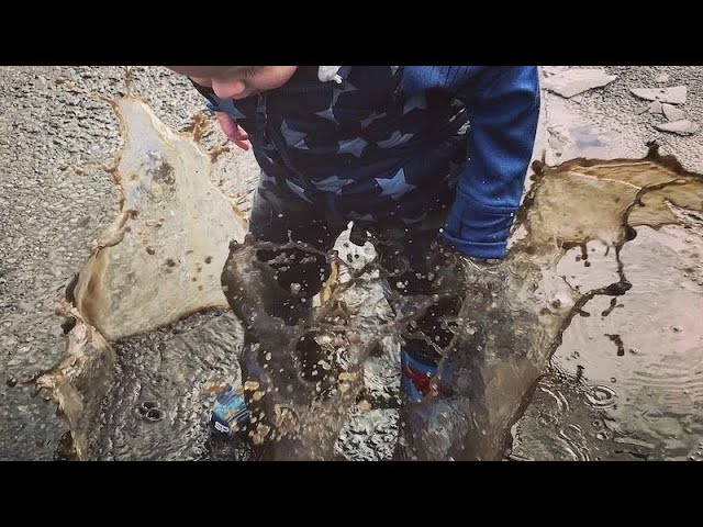 Teach your child to GO WILD | (Parshas B'reishis)