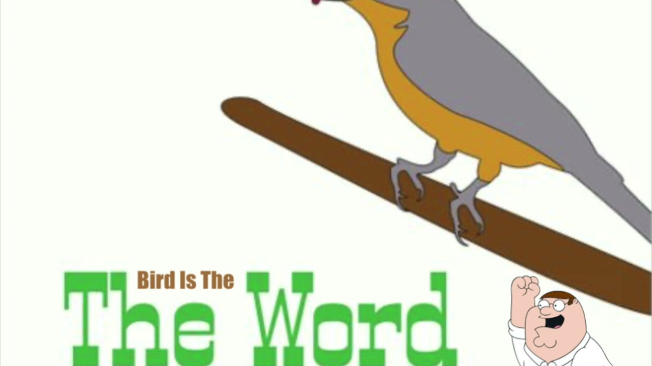 Bird Is The Word Wedding Song For Hershy & Reisy Gluck 30 11 22