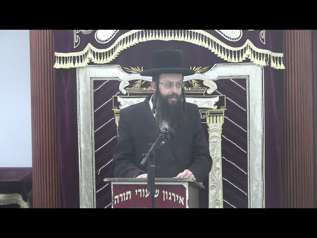 דיני השבת אבידה - המשך השיעור בדרך שו"ת - ר' משה פנחס אייכלער שליט"א